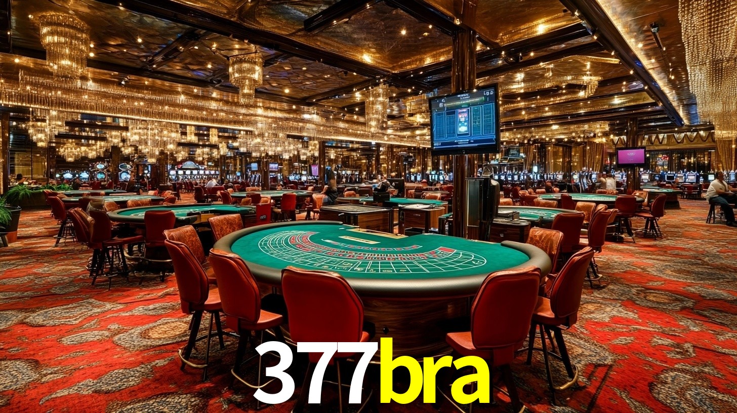 377bra com