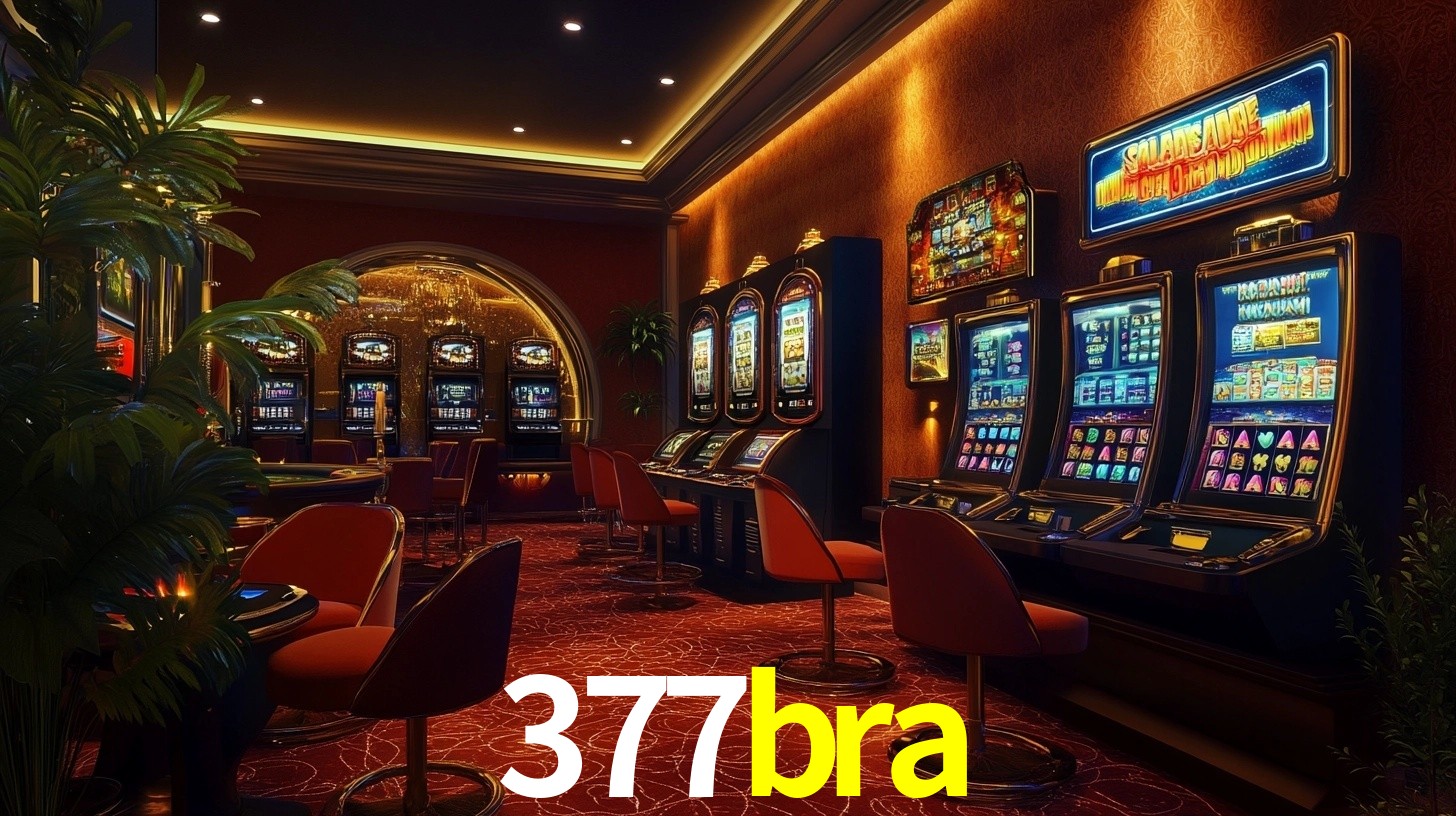 377bra App Interface