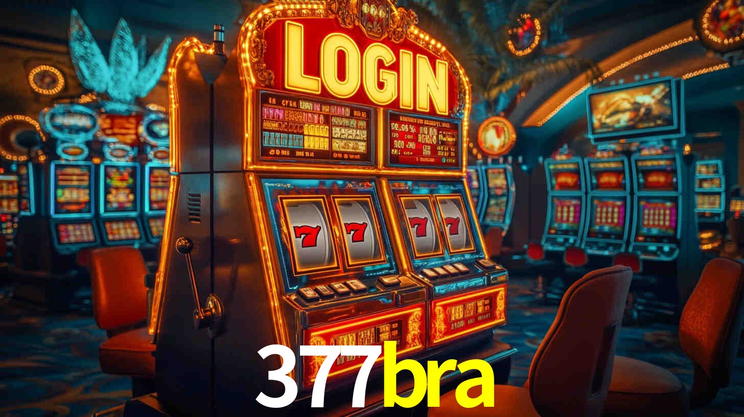377bra com